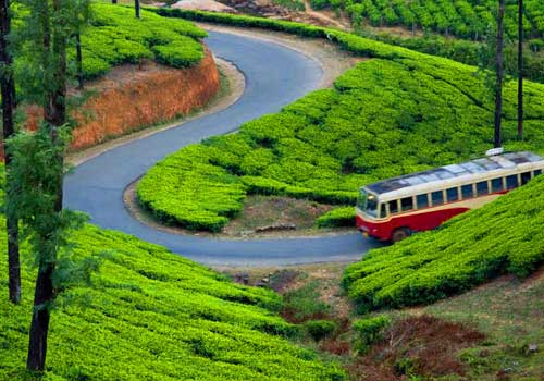 41814-Munnar.jpg